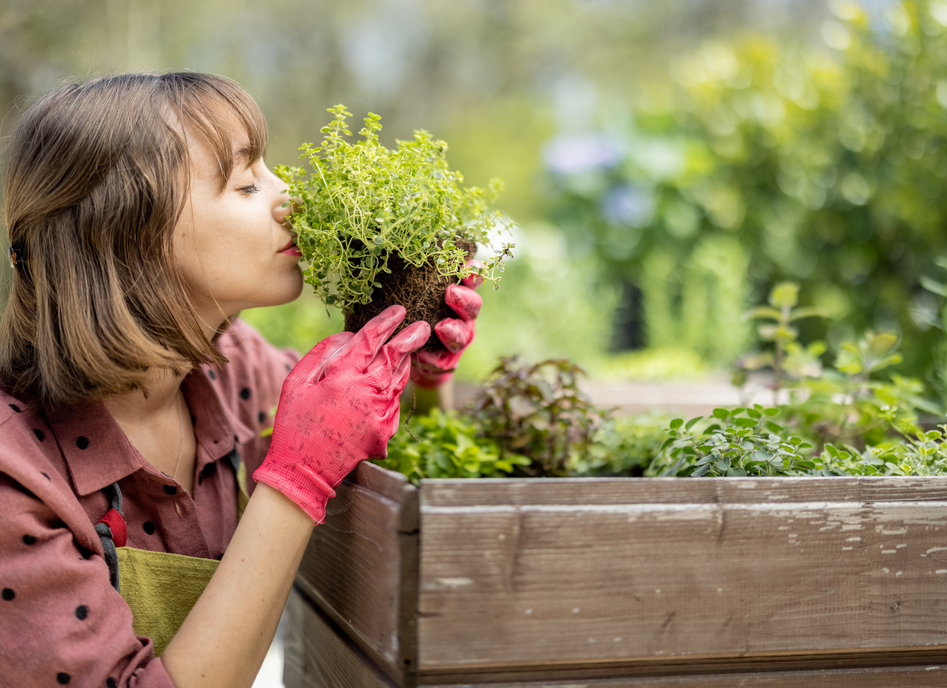 Prepare Your Vegetable Garden for Spring and Summer