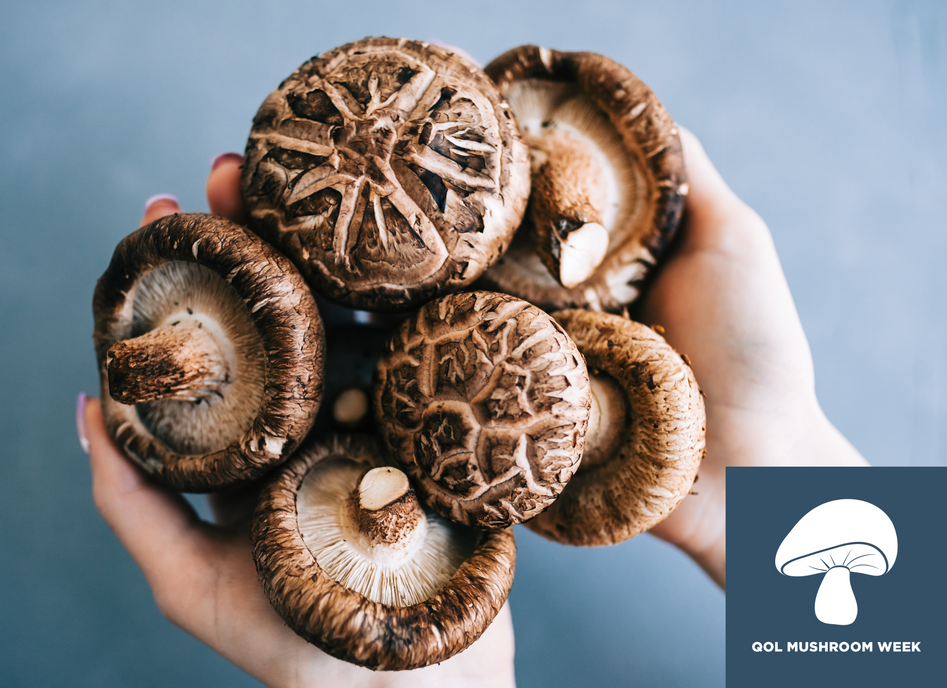 Celebrate Mushroom Day: Fun and Fungi-Filled!