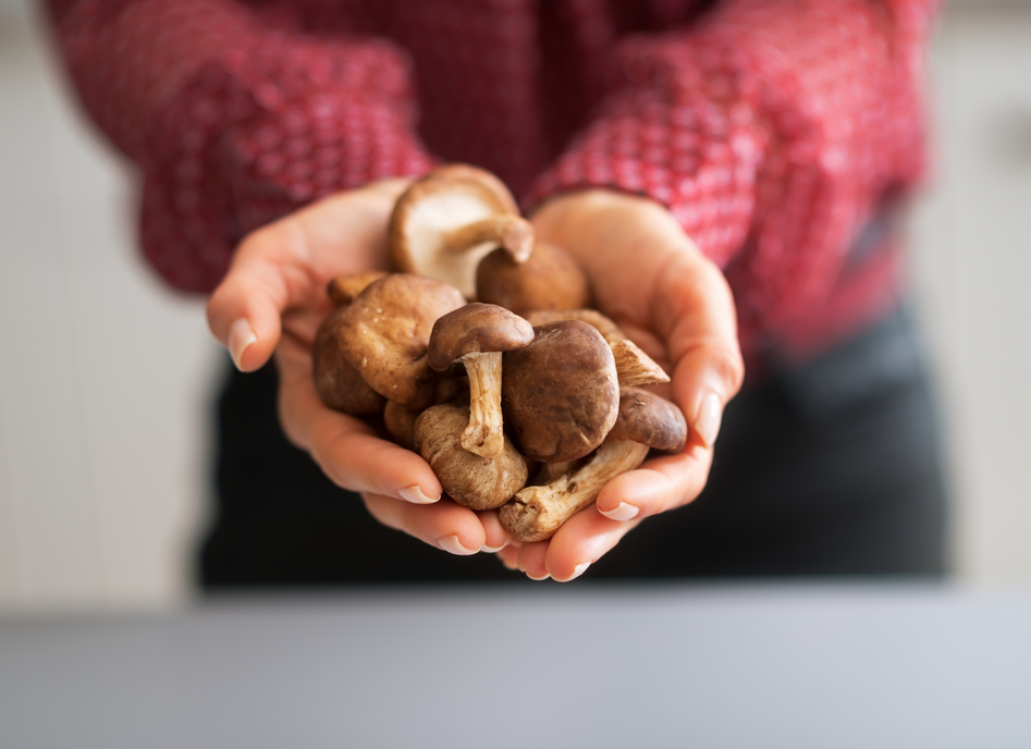 What Can Mushrooms Do For Your Health?