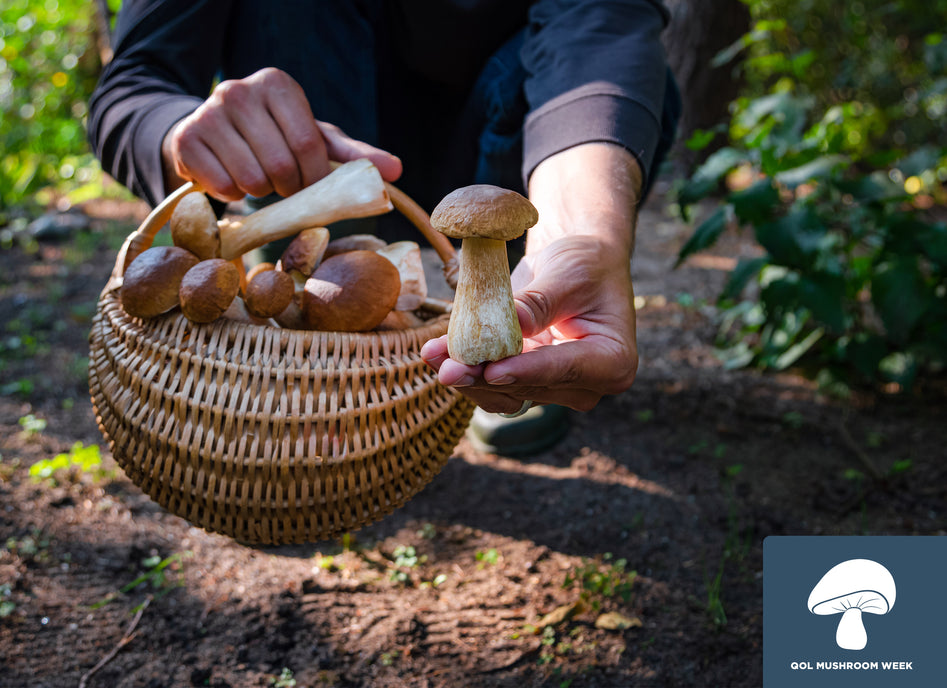 Ways to Celebrate Mushroom Day