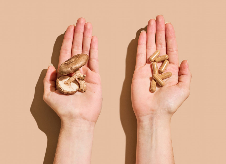 Unlock the Power of Mushrooms for Immune Health