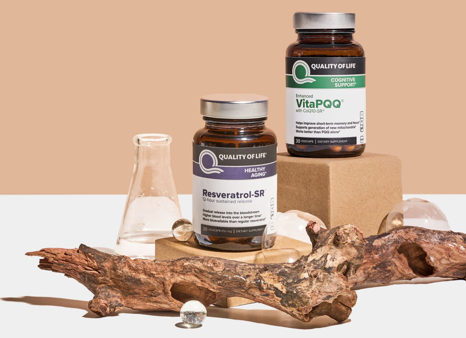 Brain Supplements for Memory & Focus: Nutrition, Lifestyle & Top Picks