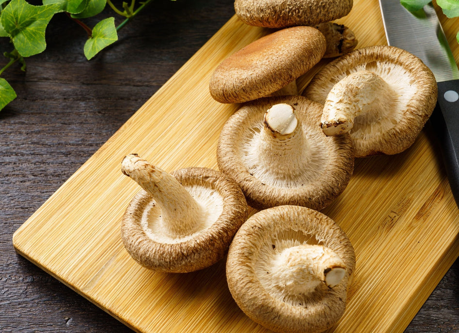 Your Guide to Fall Immunity with Mushrooms