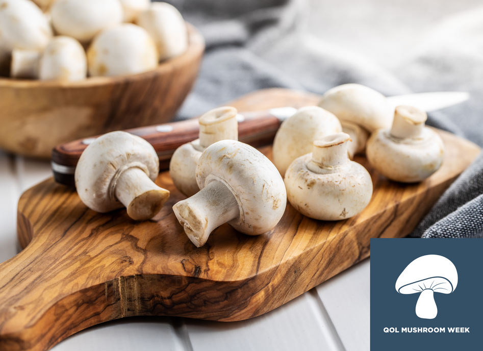 The Power of Medicinal Mushrooms: What They Can Do for Your Health