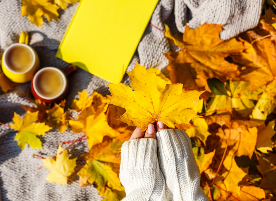 Your Guide to a Productive Routine This Fall