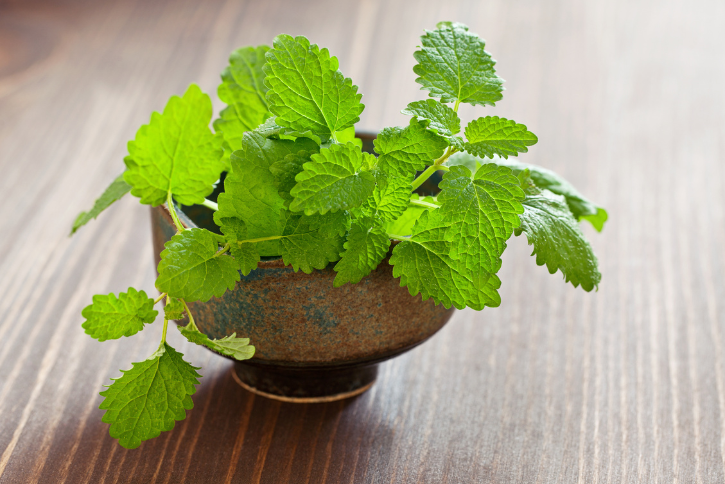 Discover the 5 Health Benefits of Taking Lemon Balm Supplements
