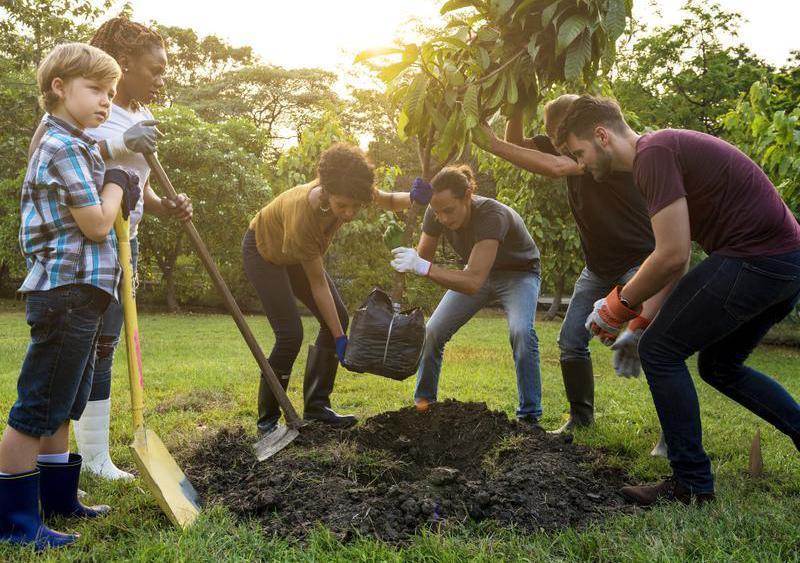 Happy Arbor Day: Check Out These 5 Arbor Day Activities