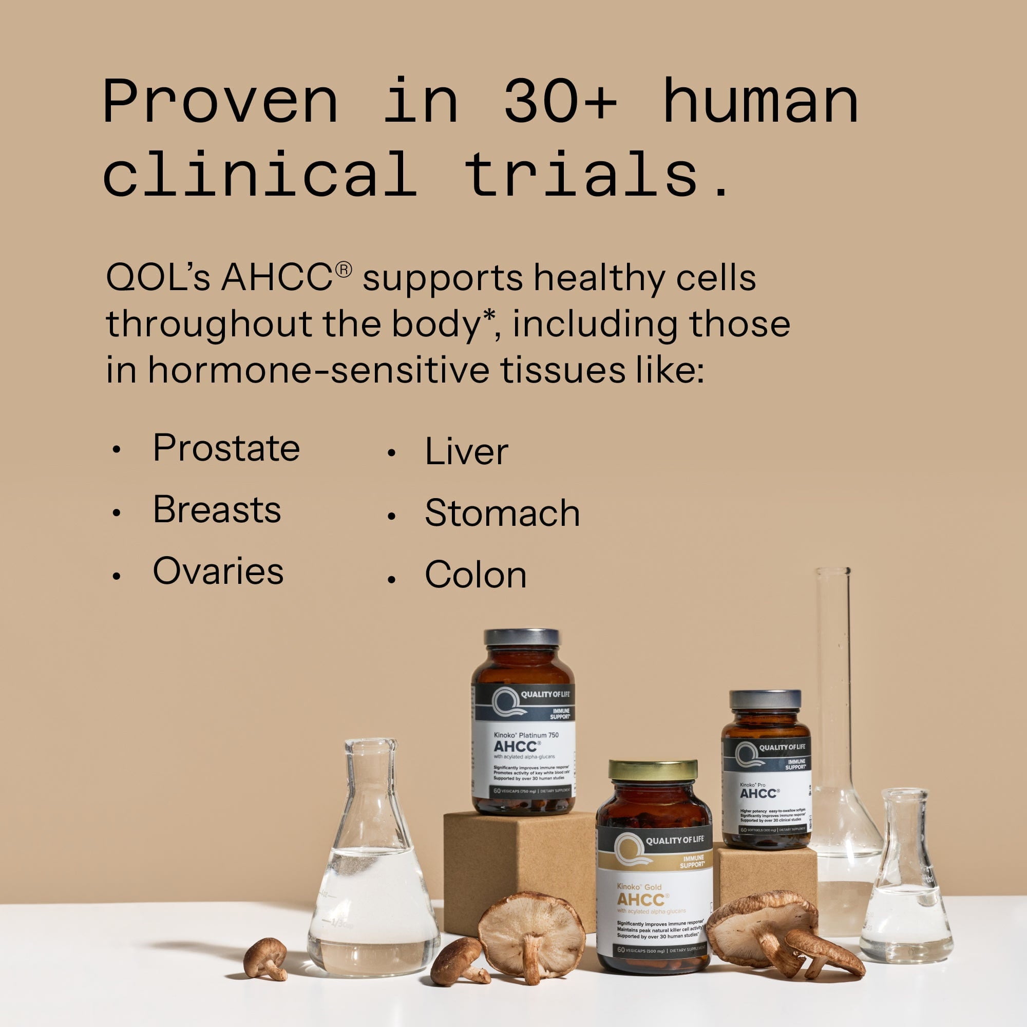 Buy AHCC® Supplement - Kinoko® Platinum | Quality of Life